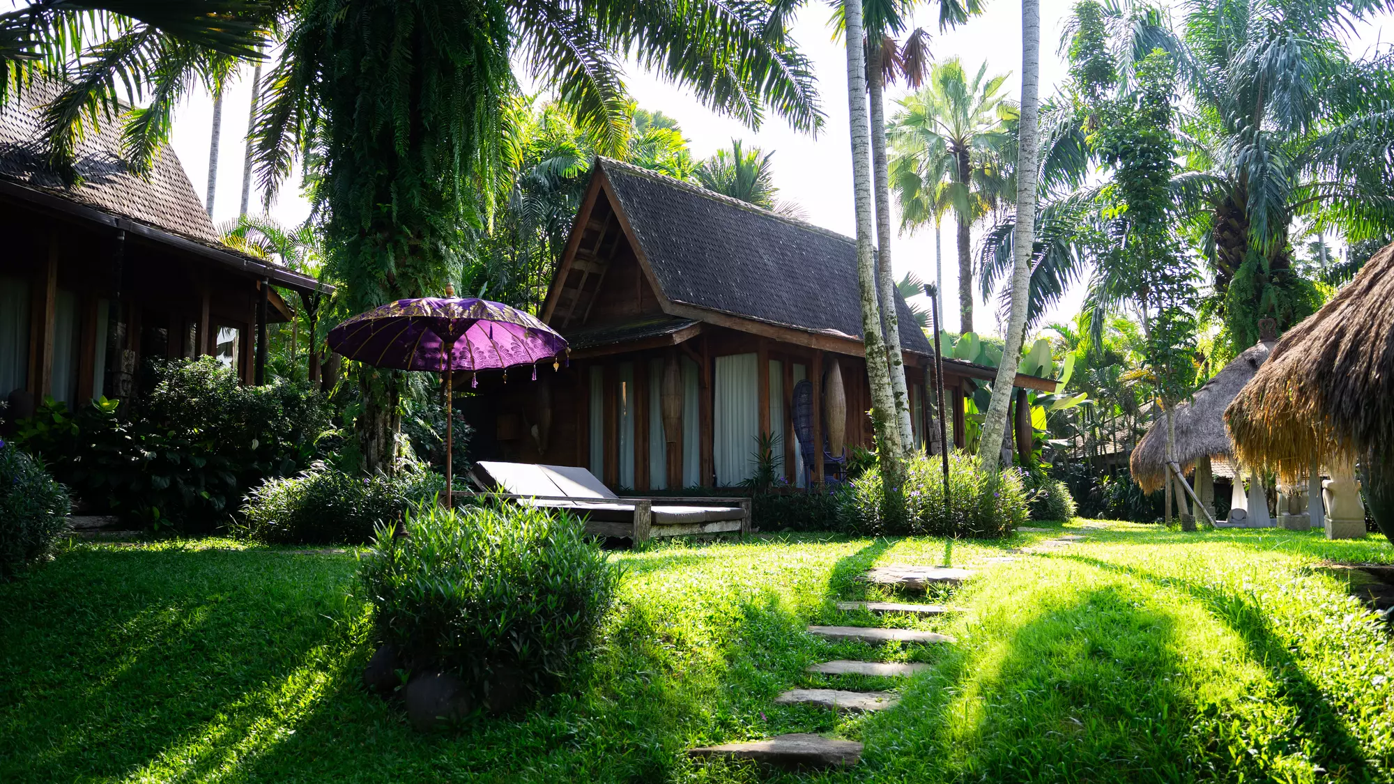 dreamtravelvoyages profile
