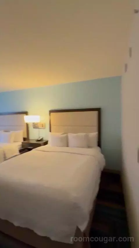 adventuringcam post preview