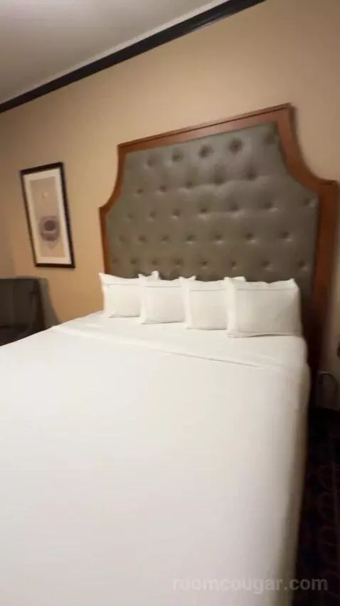 adventuringcam post preview