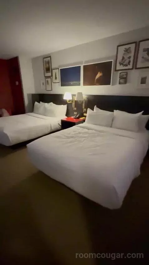 bevandryan
