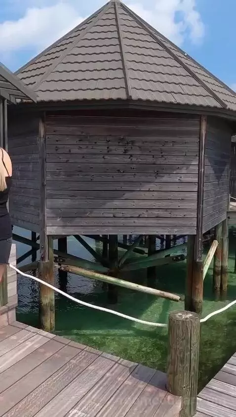 jamesandelliesadventures post preview