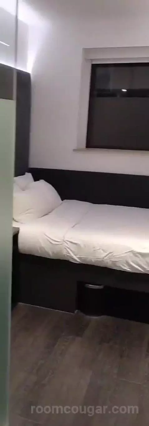 nomadsuite