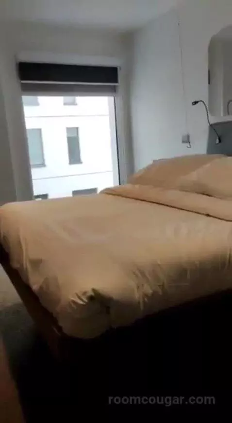 stayngo
