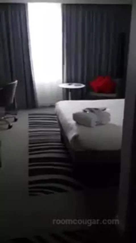 nomadsuite