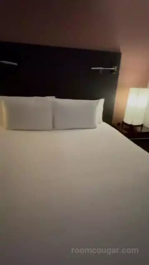 stayngo
