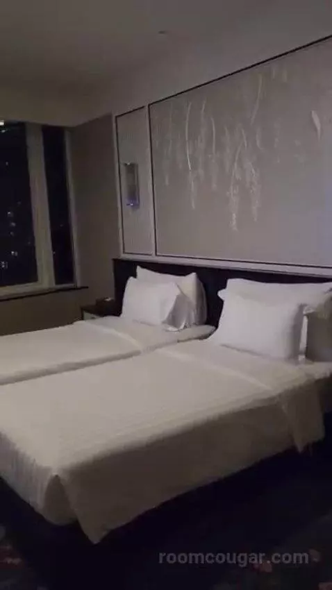 nomadsuite