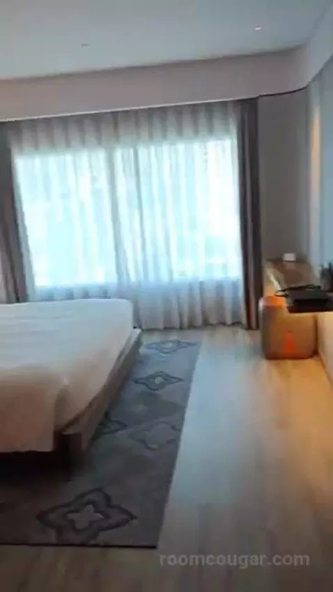 stayngo