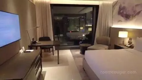 nomadsuite