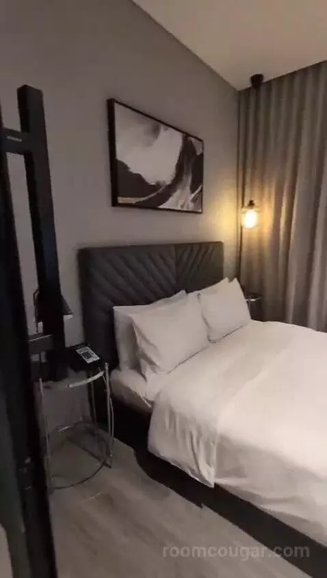 nomadsuite