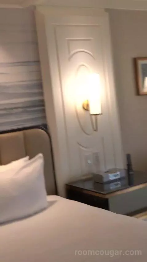 thevegasparadise post preview