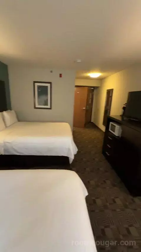gogotravelwithjosh