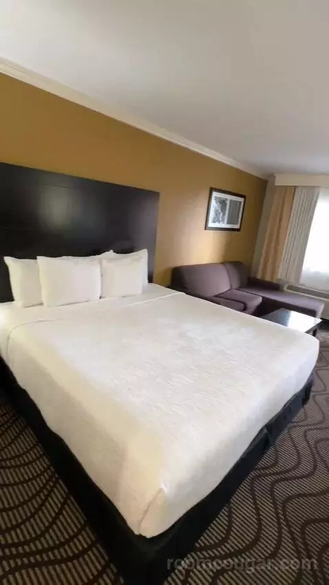 gogotravelwithjosh