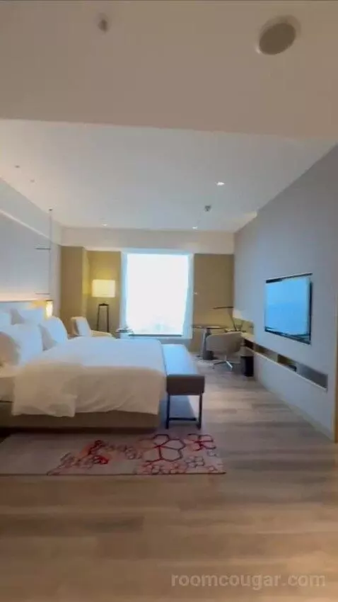 gogotravelwithjosh