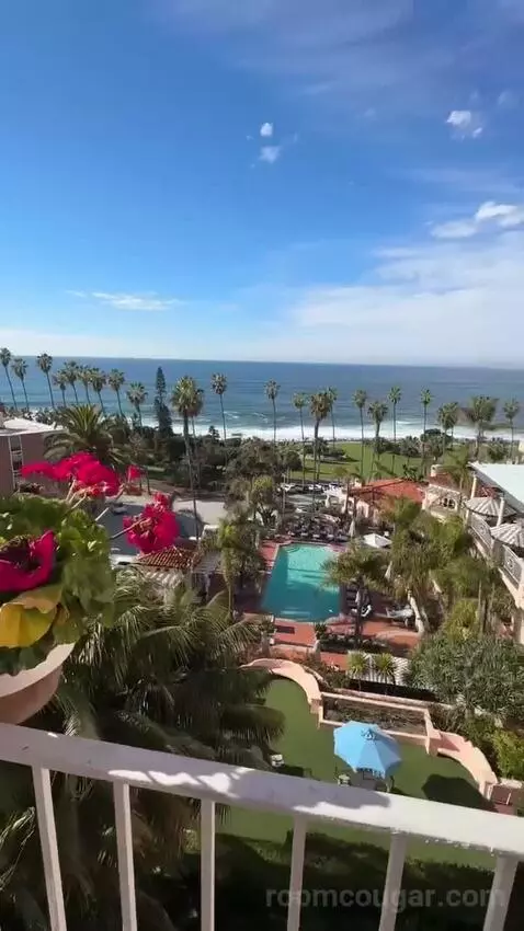 gogotravelwithjosh