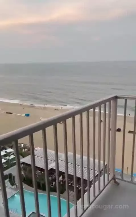 hotelhopper
