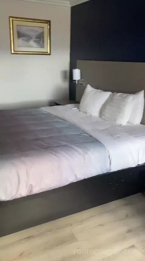 hotelhopper