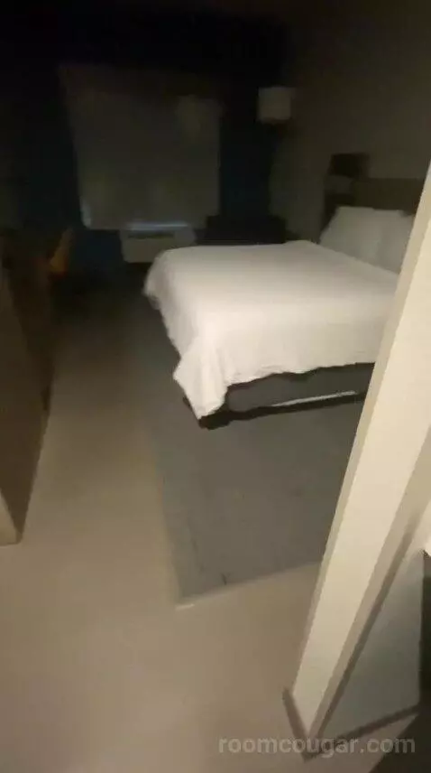 flymetothemoon