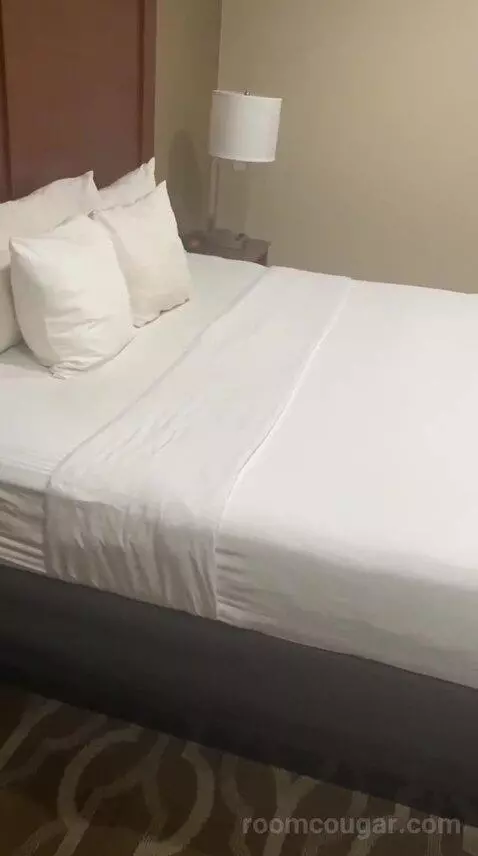 hotelhopper